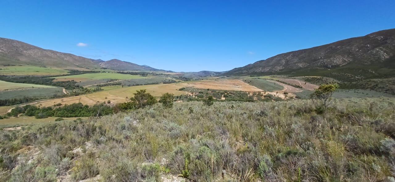 Commercial Property for Sale in George Rural Western Cape